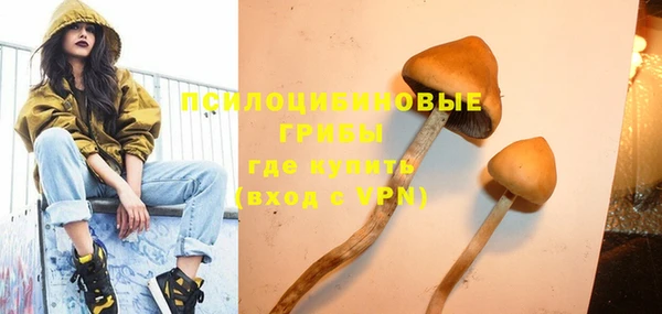 МДПВ Алзамай