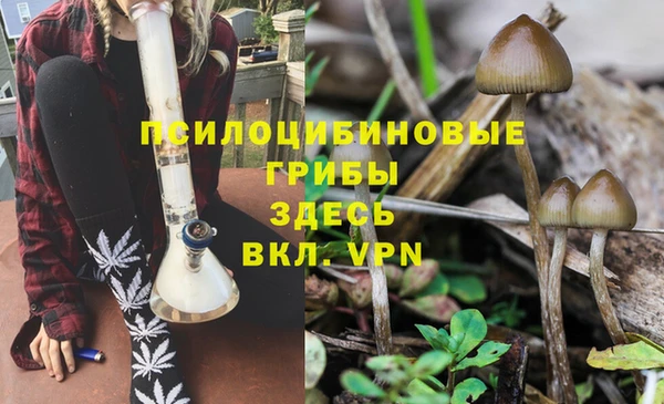 МДПВ Алзамай