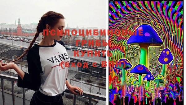 МДПВ Алзамай